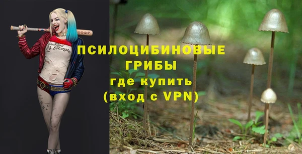 прущие крисы Армянск