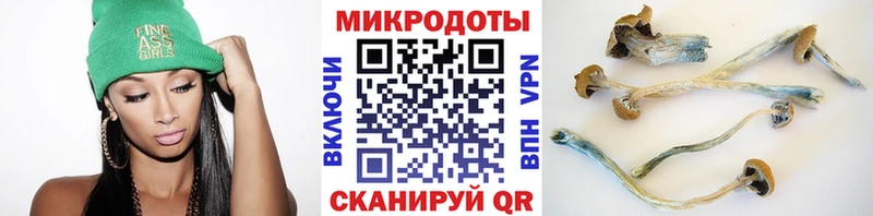 купить   Урень  Галлюциногенные грибы мицелий 