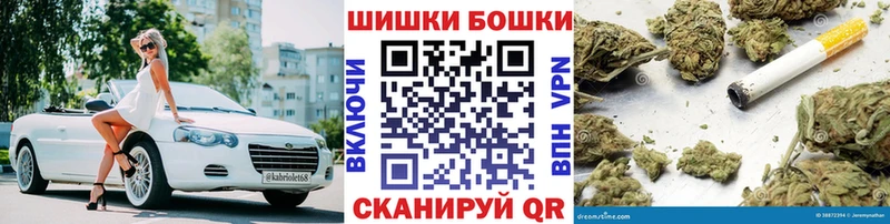 Бошки Шишки планчик Урень